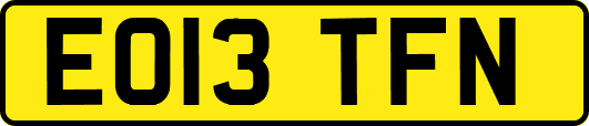 EO13TFN