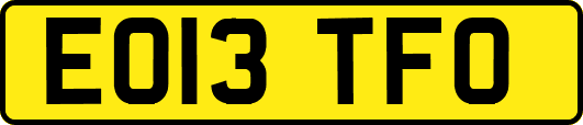 EO13TFO