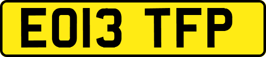 EO13TFP