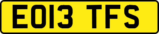 EO13TFS