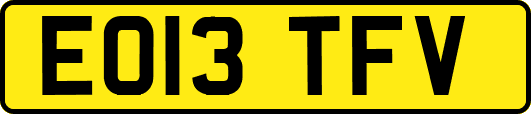 EO13TFV