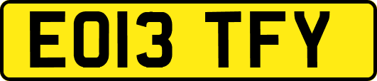 EO13TFY