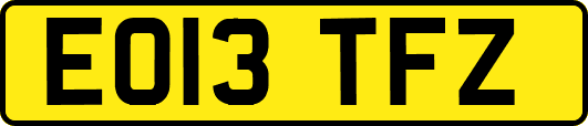EO13TFZ