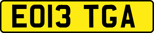EO13TGA