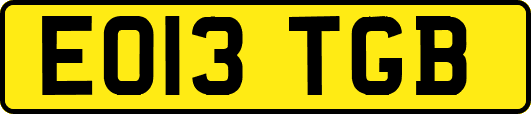 EO13TGB