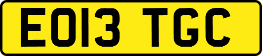 EO13TGC