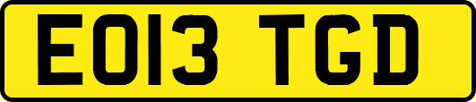 EO13TGD