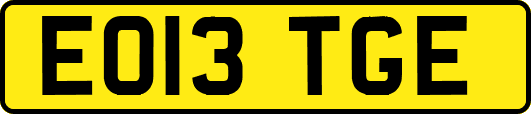 EO13TGE