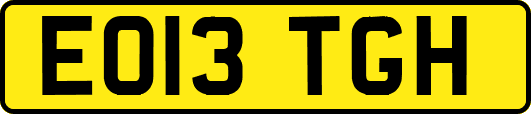 EO13TGH