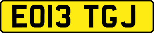 EO13TGJ