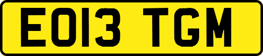 EO13TGM
