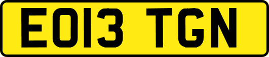 EO13TGN
