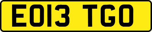 EO13TGO