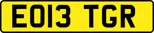 EO13TGR