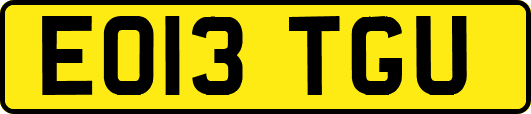 EO13TGU