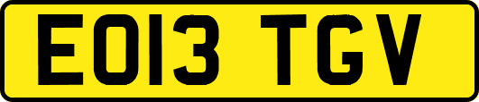 EO13TGV