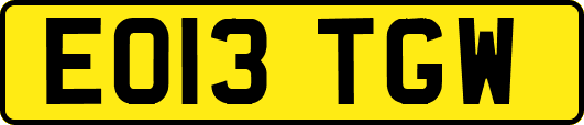 EO13TGW