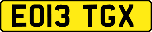 EO13TGX