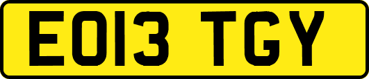 EO13TGY