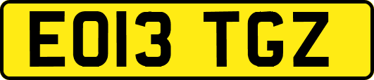 EO13TGZ