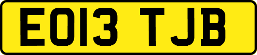 EO13TJB