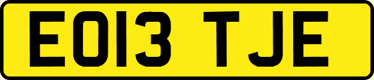 EO13TJE