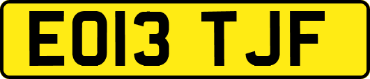 EO13TJF