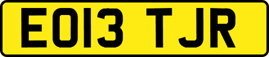 EO13TJR