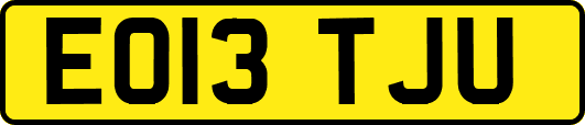 EO13TJU