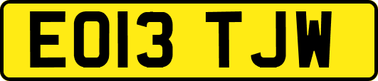EO13TJW