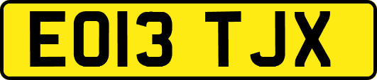 EO13TJX