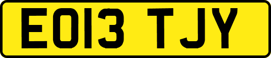 EO13TJY