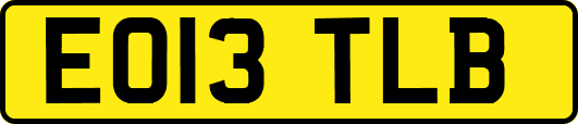 EO13TLB