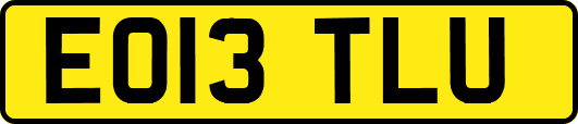 EO13TLU