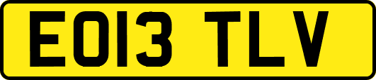 EO13TLV