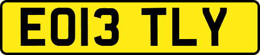 EO13TLY