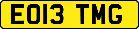 EO13TMG
