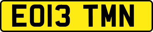 EO13TMN