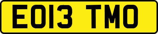 EO13TMO