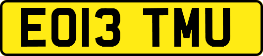 EO13TMU