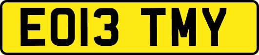 EO13TMY
