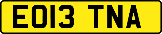 EO13TNA