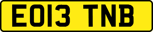 EO13TNB