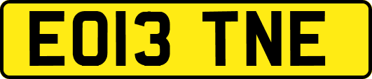 EO13TNE
