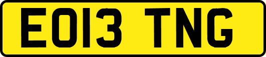 EO13TNG