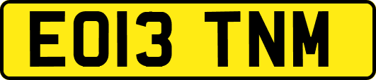 EO13TNM