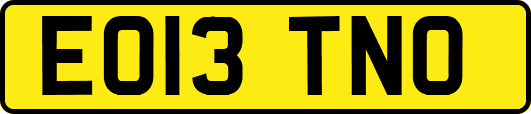 EO13TNO