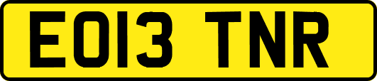 EO13TNR