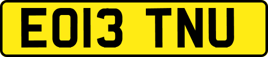 EO13TNU