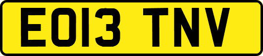 EO13TNV